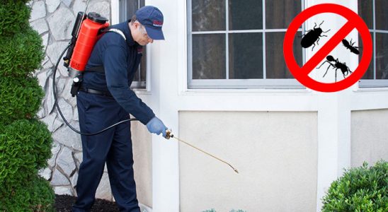 Baykan Böcek İlaçlama böcek ilaçlama ve haşere kontrolü — ilaclama-tr.com